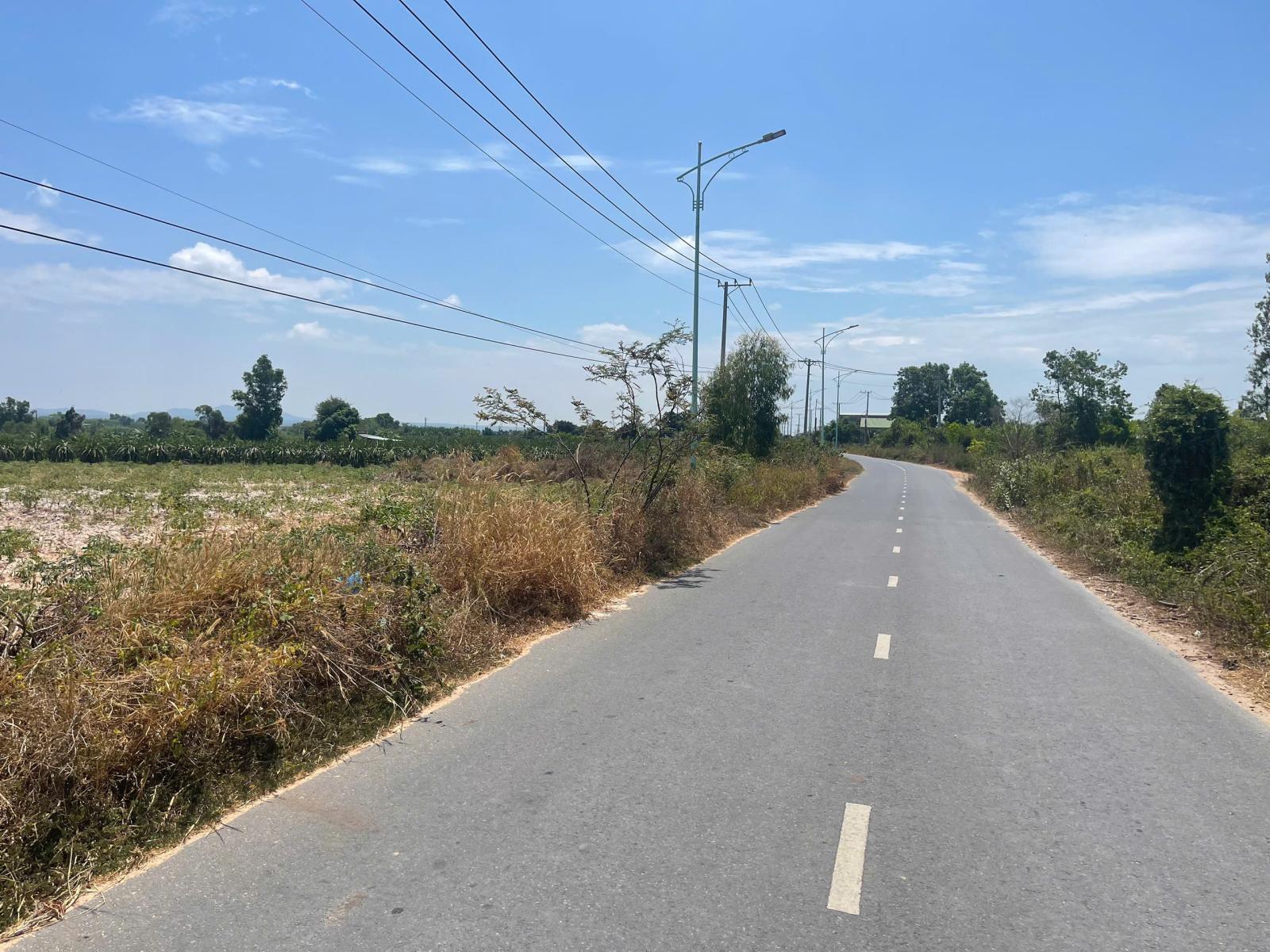 Bán 50m x 70m đất mặt tiền Mai Thúc Loan - Tân Hải - LaGi còn 125 triệu/m ngang 16007477