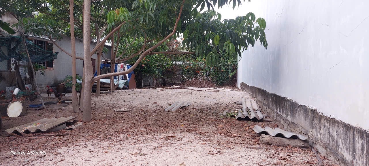 Bán 5m x 26m đất Hẻm Tôn Đức Thắng, Tân Thiện, Lagi giá ngộp 1.05 tỷ 16007581