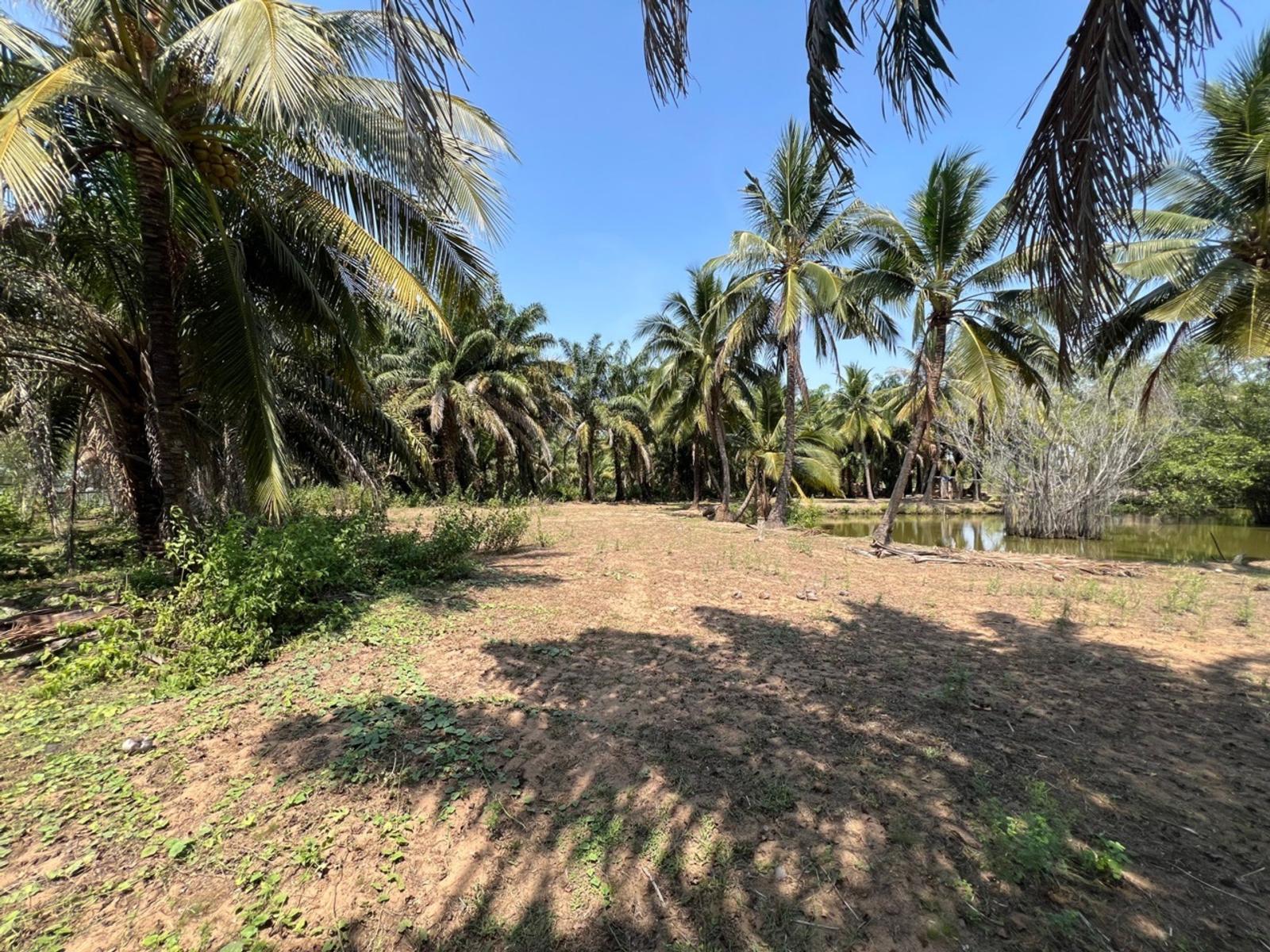 ĐẤT VEN SÔNG SOÀI RẠP LONG PHƯỚC Q9  4,5HA – MT 270M CHỈ 999 TỶ 16007768