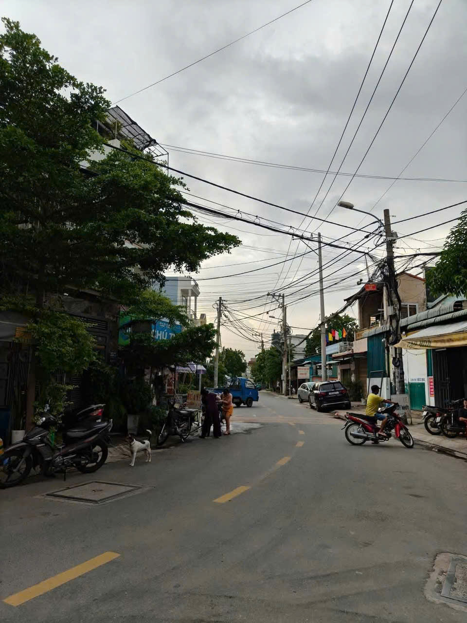 3 LÔ ĐẤT ĐẸP – MT TRẦN THỊ HÈ, P. HIỆP THÀNH, Q12 – GIÁ TỐT CHO NHÀ ĐẦU TƯ 16007992