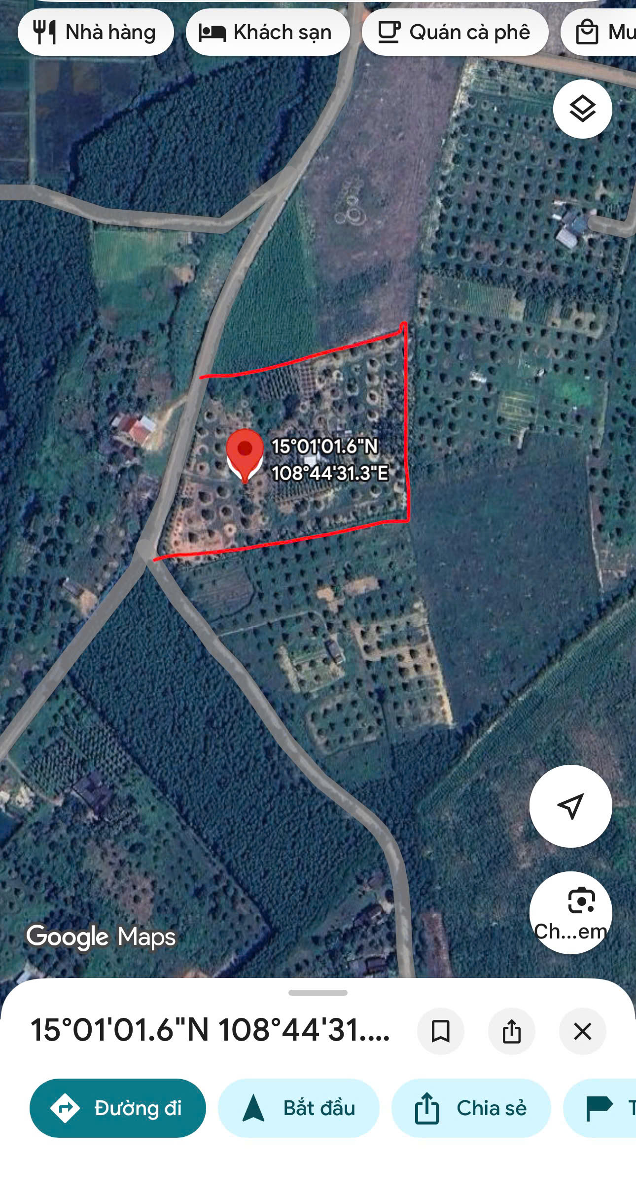 Bán vườn trái Cây hơn 10.000m2 Hành Nhân Nghĩa Hành Quảng Ngãi giá tốt 16008039
