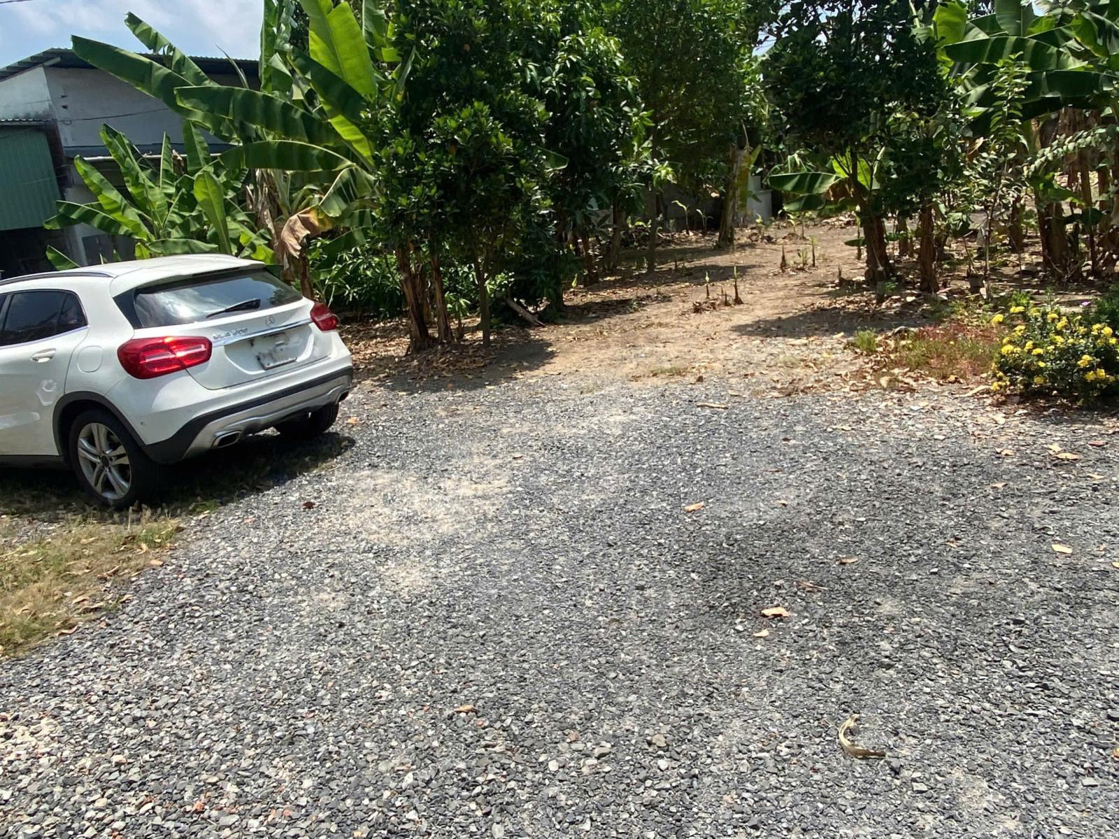 CẦN BÁN 1000M2 20X50 ĐẤT VƯỜN MT ĐƯỜNG BÌNH TRƯỜNG 16008090