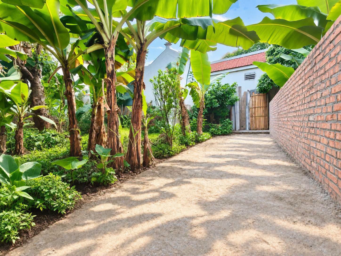 Đất Nguyên Khê 76m2, mt7m, 2.x tỷ, gần QL3, đấu giá, Đông Anh, cần bán gấp. 16008255