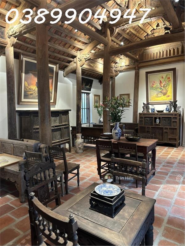 CHO THUÊ NHÀ VƯỜN PHỐ CỔ MẶT TIỀN ĐƯỜNG MẠC ĐỈNH CHI KHU BÀN CỜ TRUNG TÂM NHA TRANG – DIỆN TÍCH ĐẤT 16008366