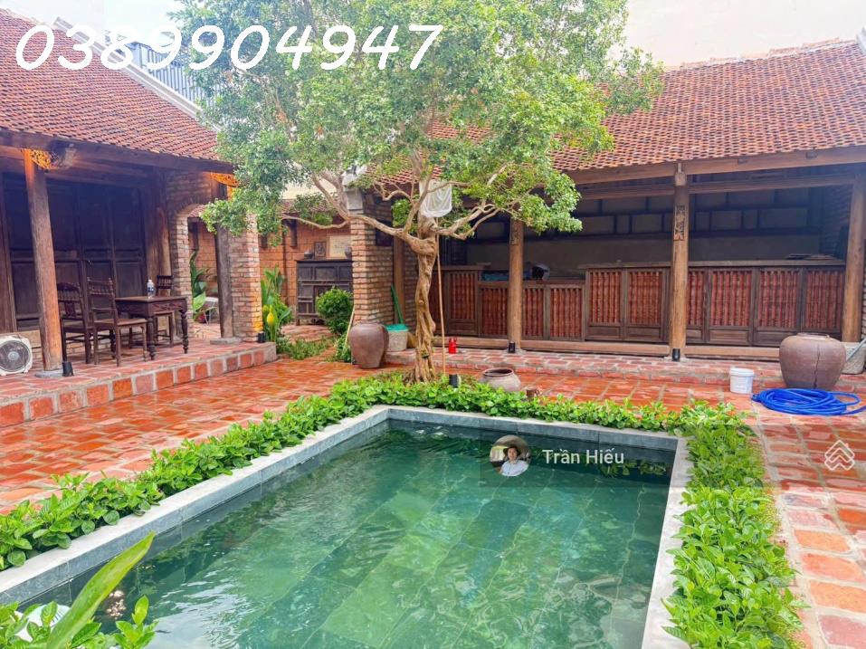 CHO THUÊ NHÀ VƯỜN PHỐ CỔ MẶT TIỀN ĐƯỜNG MẠC ĐỈNH CHI KHU BÀN CỜ TRUNG TÂM NHA TRANG – DIỆN TÍCH ĐẤT 16008366