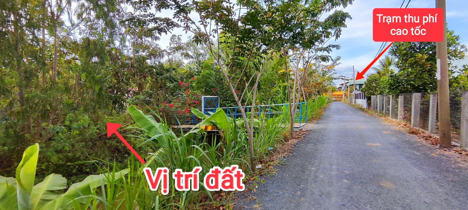 CẦN BÁN 4827M2 ĐẤT THỎ CƯ VÀ VƯỜN MT ĐƯỜNG NHỰA 16008384