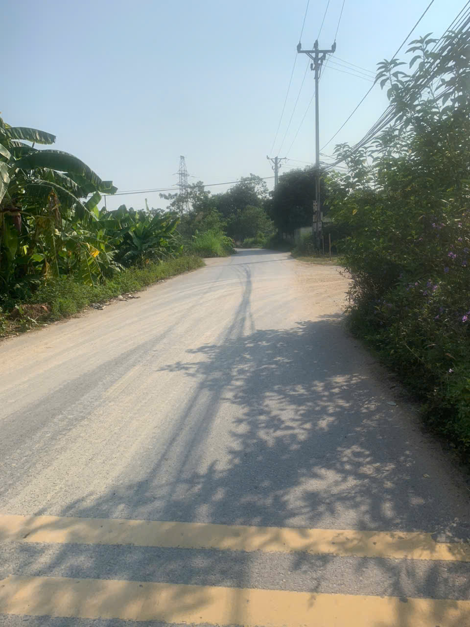 Chính chủ bán đất Thạch Sơn, Lâm Thao - 170m2, 2 mặt tiền, vị trí đẹp, kinh doanh cực thuận lợi 16008564