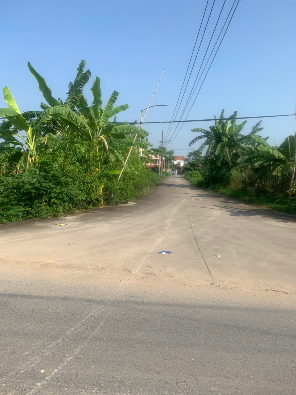 Chính chủ bán đất Thạch Sơn, Lâm Thao - 170m2, 2 mặt tiền, vị trí đẹp, kinh doanh cực thuận lợi 16008564