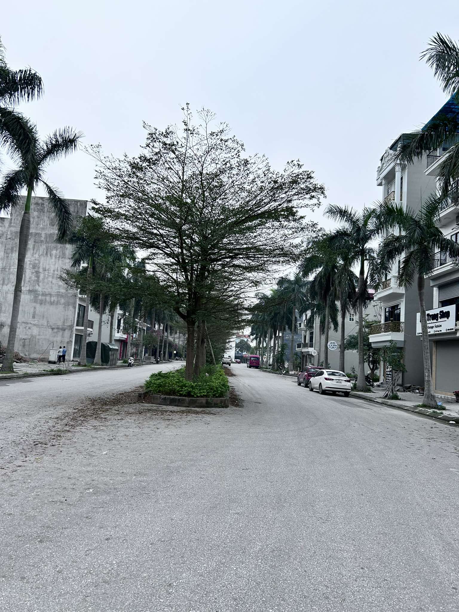 Bán gấp:phân lô tái định cư Kiêu Kỵ/Gia Lâm,Hà Nội 80m2 mt4.5m đường 11m, cực thoáng 16008721