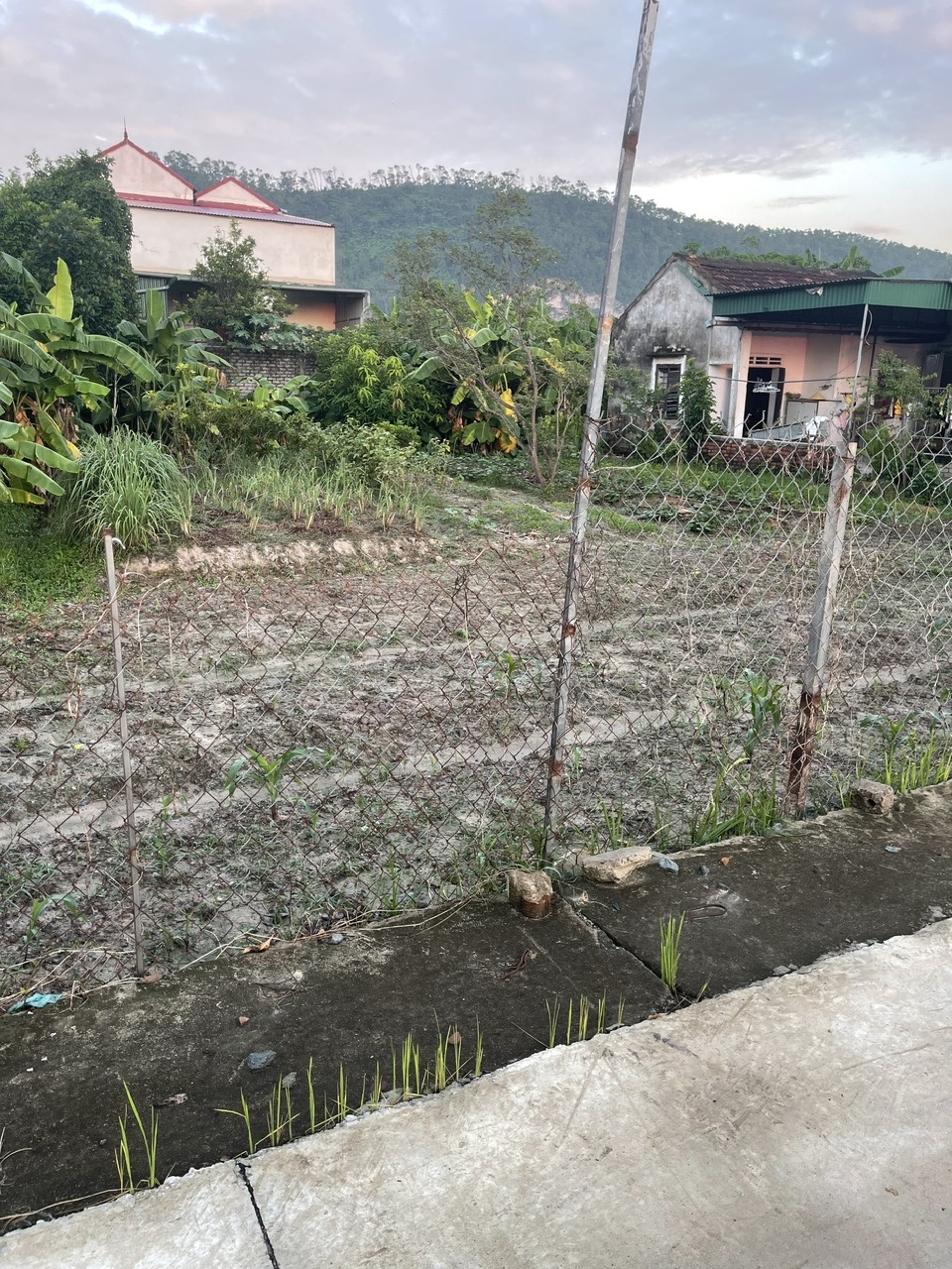 CHO THUÊ 400M2  ĐẤT LÀM KHO – XƯỞNG - TẠI XÃ HƯNG NGUYÊN, NGHỆ AN - VỊ TRÍ ĐẸP, GIAO THÔNG THUẬN 16008946