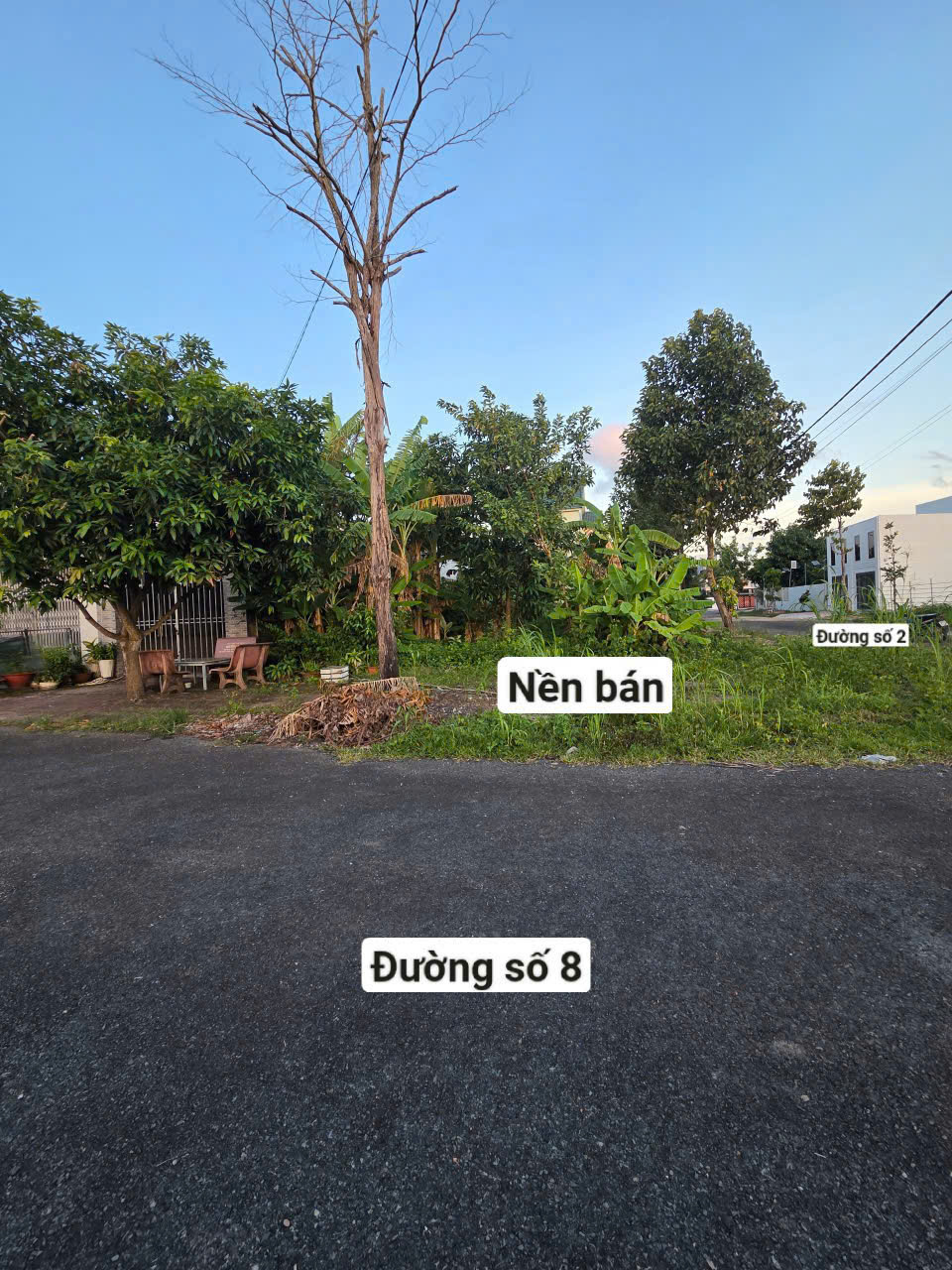 CHÍNH CHỦ CẦN BÁN GẤP ĐẤT GÓC 2 MẶT TIỀN – ĐỐI DIỆN CHỢ, TÂN XUYÊN, CÀ MAU 16009188