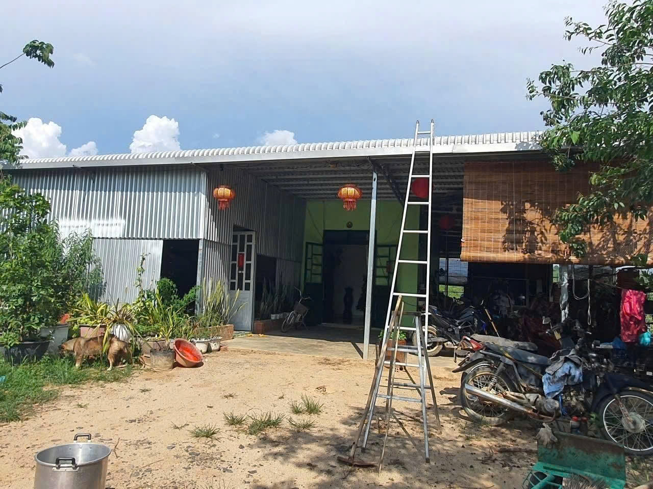 Chính chủ bán 2ha đất Krông Nô bám QL27, view hồ Nam Ka, cà phê và nguồn thu cực tốt 16009246