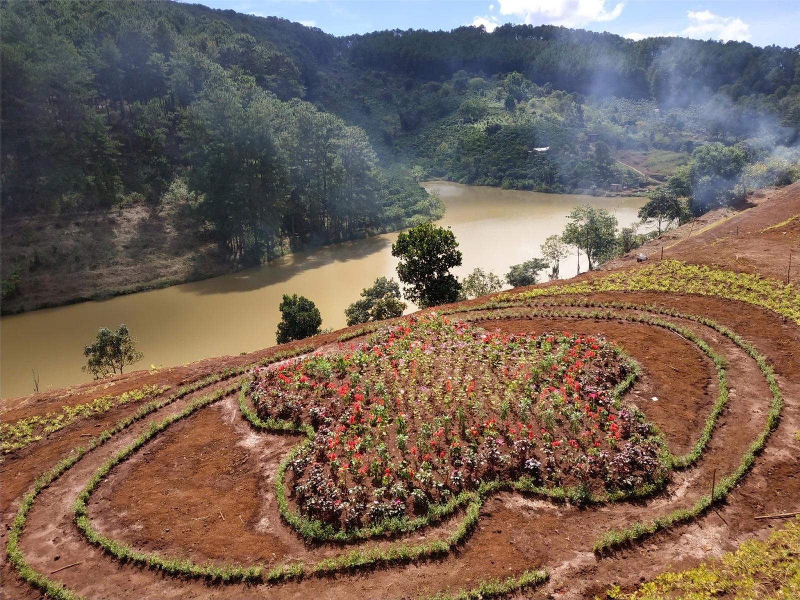 ĐẤT VỊ TRÍ ĐẸP - CHÍNH CHỦ CẦN BÁN LÔ ĐẤT View Hồ, Rừng Thông, Phường Cam Ly, Đà Lạt, tỉnh Lâm Đồng. 16009280