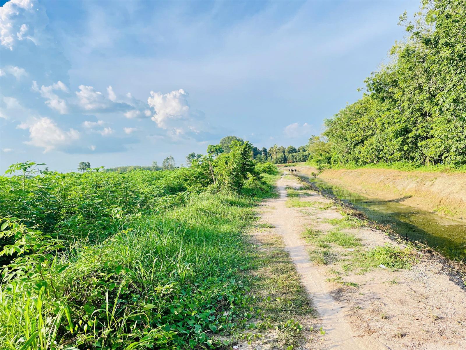 ĐẤT ĐẸP – GIÁ TỐT – CHÍNH CHỦ CẦN BÁN 3,8HA QUỸ ĐẤT VÀNG TẠI  Xã Phước Đông, Huyện Gò Dầu, Tây Ninh 16009472