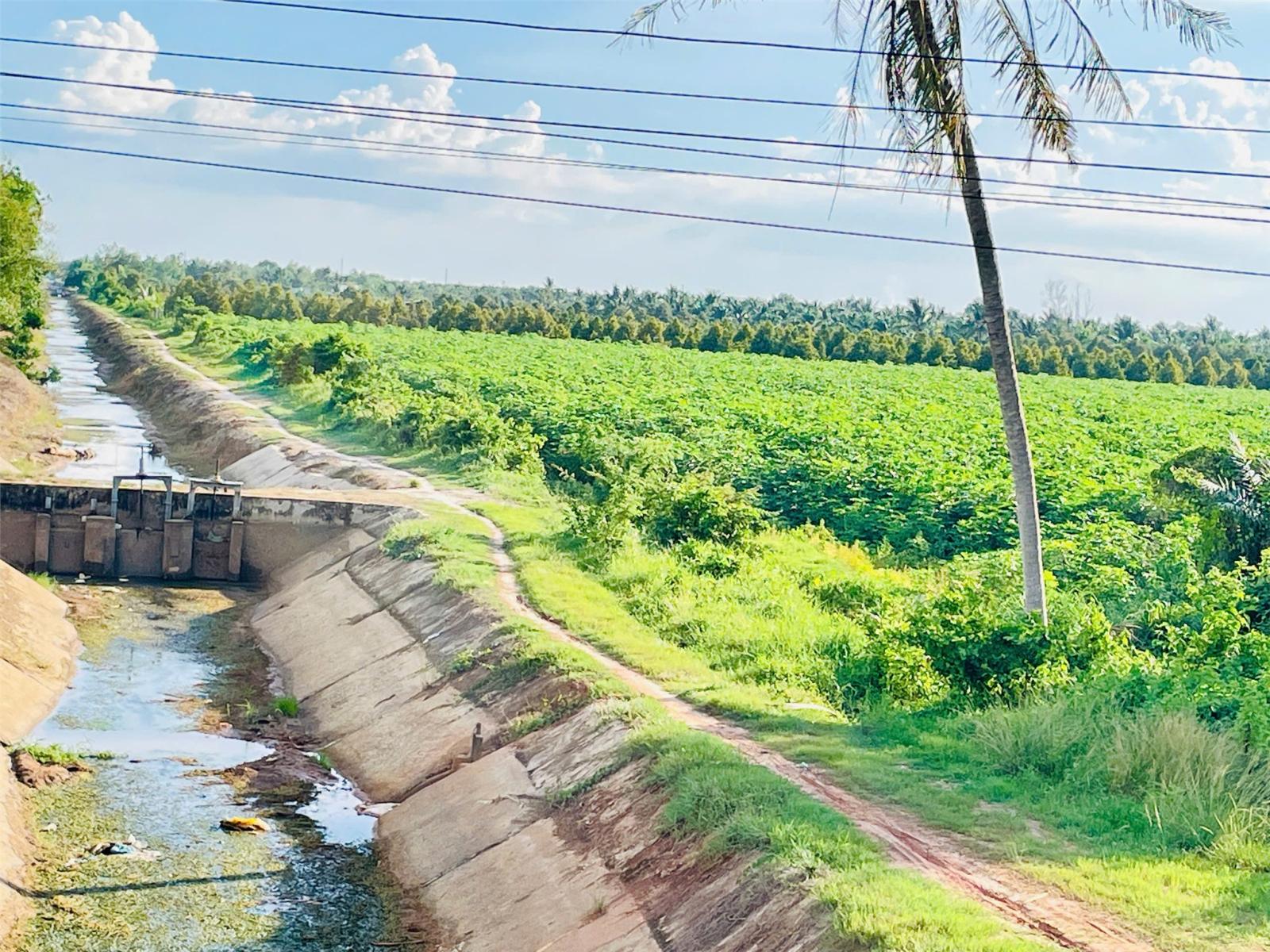 ĐẤT ĐẸP – GIÁ TỐT – CHÍNH CHỦ CẦN BÁN 3,8HA QUỸ ĐẤT VÀNG TẠI  Xã Phước Đông, Huyện Gò Dầu, Tây Ninh 16009472