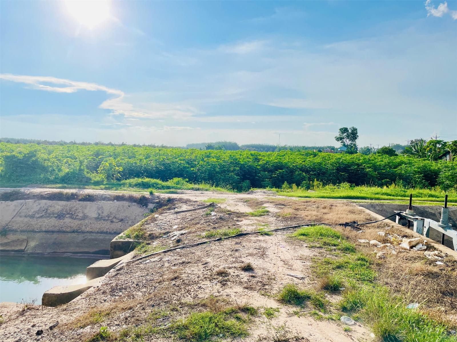 ĐẤT ĐẸP – GIÁ TỐT – CHÍNH CHỦ CẦN BÁN 3,8HA QUỸ ĐẤT VÀNG TẠI  Xã Phước Đông, Huyện Gò Dầu, Tây Ninh 16009472