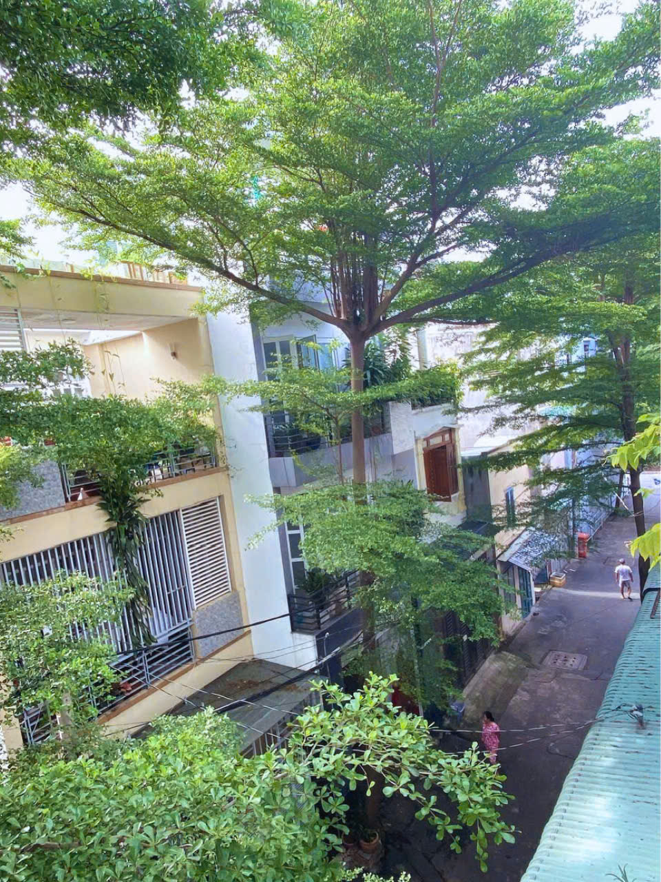 BÁN NHÀ 3 TẤM SÁT QUỐC LỘ 13 - ĐƯỜNG SỐ 8 - HIỆP BÌNH PHƯỚC - THÀNH PHỐ THỦ ĐỨC 16009579