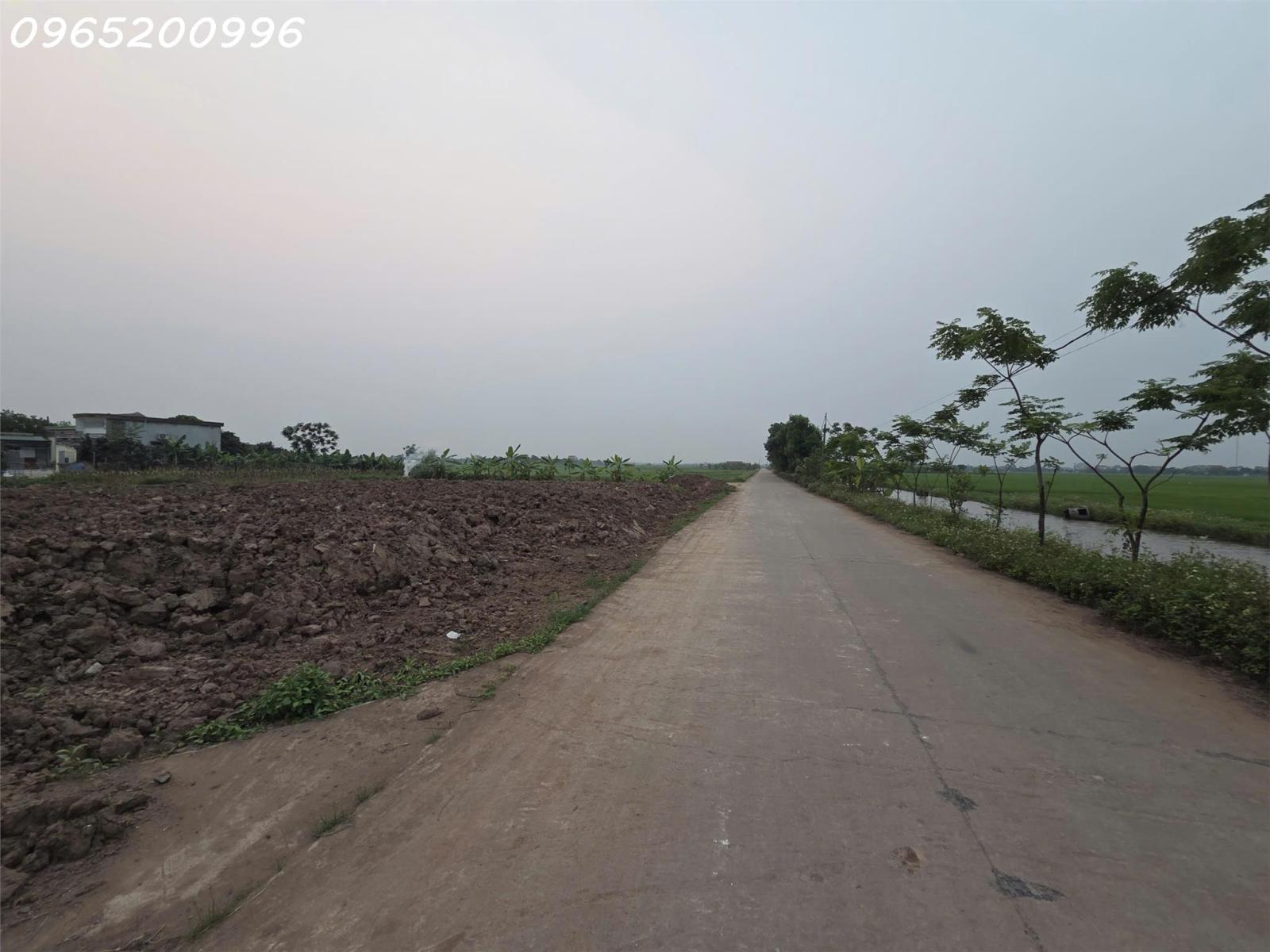 Bán đất 150m2 tại Khánh Hội, Yên Khánh, Ninh Bình, chính chủ hàng hiếm, 3,9 tỷ 16009627