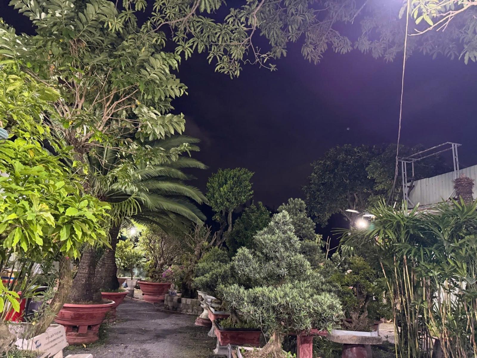 Biệt thự view công viên trục Dương Quảng Hàm, P.6, Gò Vấp, 470m2, đường 12m, 47 tỷ 16009768