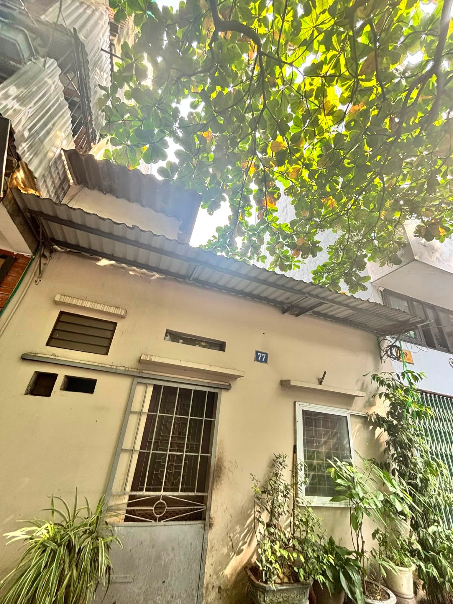 Bán đất tặng nhà Nguyễn Văn Cừ- Ô tô tránh- sát phố -View Câu chương dương 56m hơn 17 tỷ 16009774