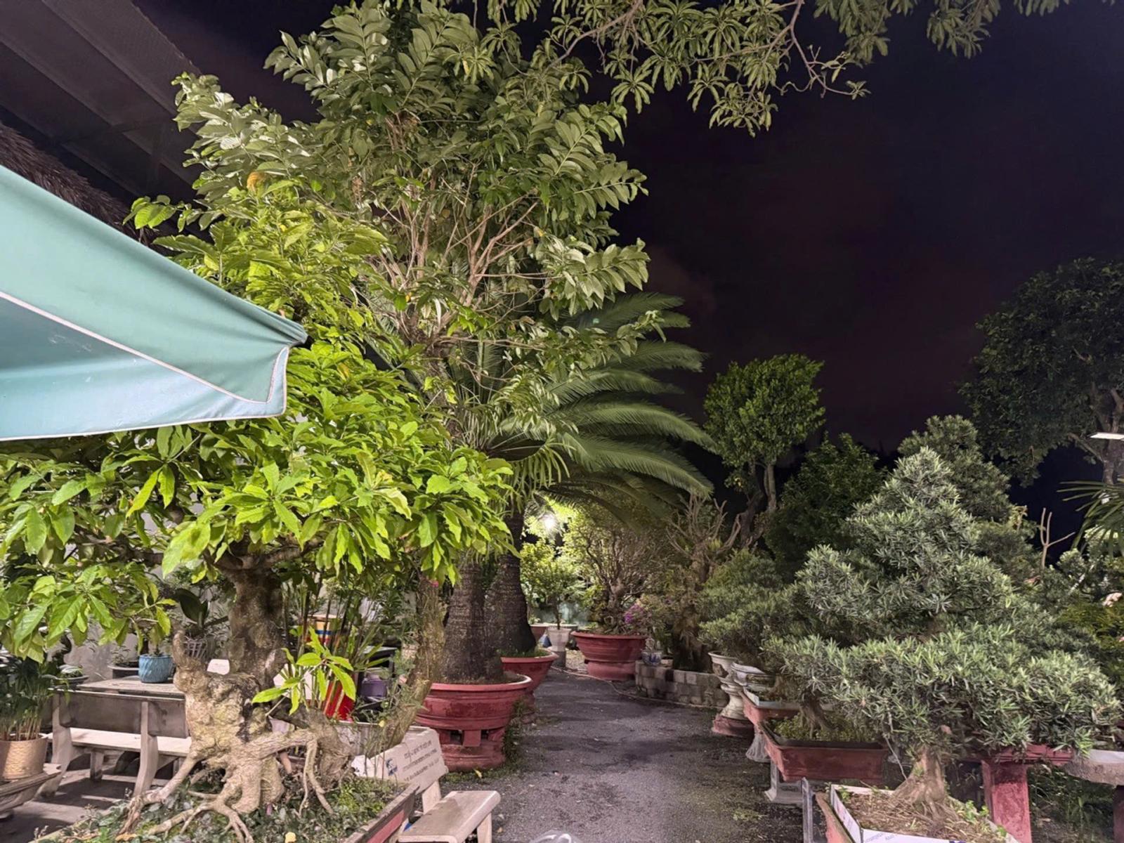 Biệt thự view công viên trục Dương Quảng Hàm, P.6, Gò Vấp, 470m2, đường 12m, 47 tỷ 16009776