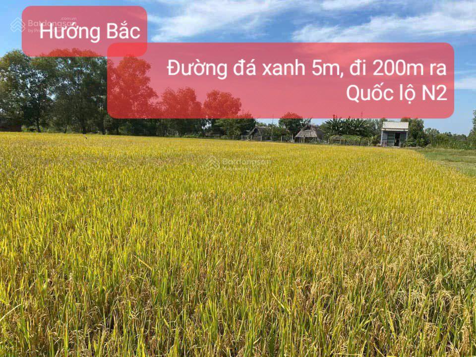 CHÍNH CHỦ BÁN 1000M2 ĐẤT SẴN SỔ 2 MẶT TIỀN TẠI HÒA KHÁNH TÂY-ĐỨC HÒA 16009801