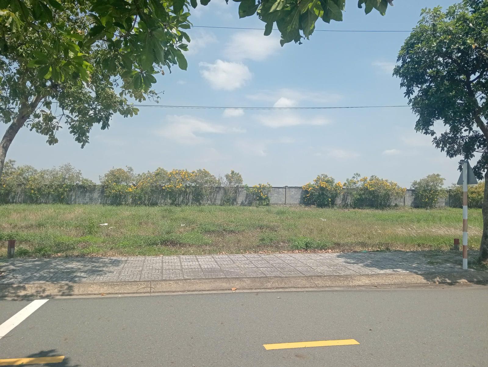BÁN LÔ THỔ CƯ BIỆT THỰ 500M2, NGAY CỬA SB LONG THÀNH 16009852