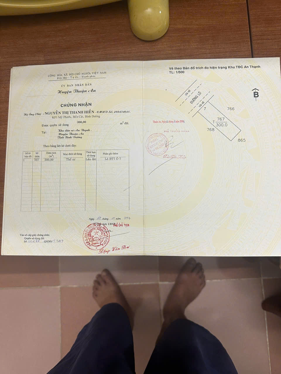 Bán 2 Lô Đất Liền Kề TĐC An Thạnh – Thuận An, Bình Dương 16010161