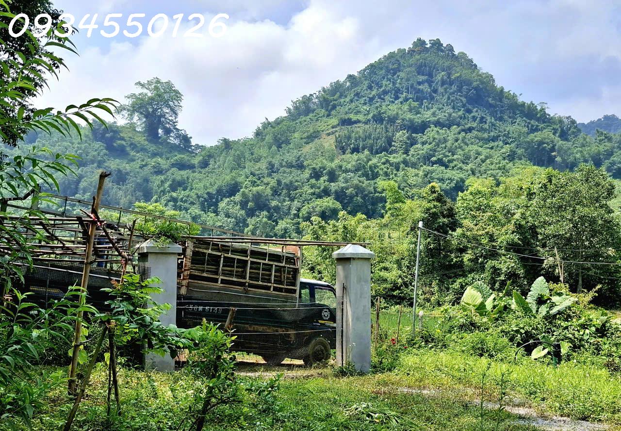 Chính chủ cần bán nhà vườn, trang trại xã Mường Bi, Phú Thọ, DT 953,8m2, giá 1,85 tỷ 16010259