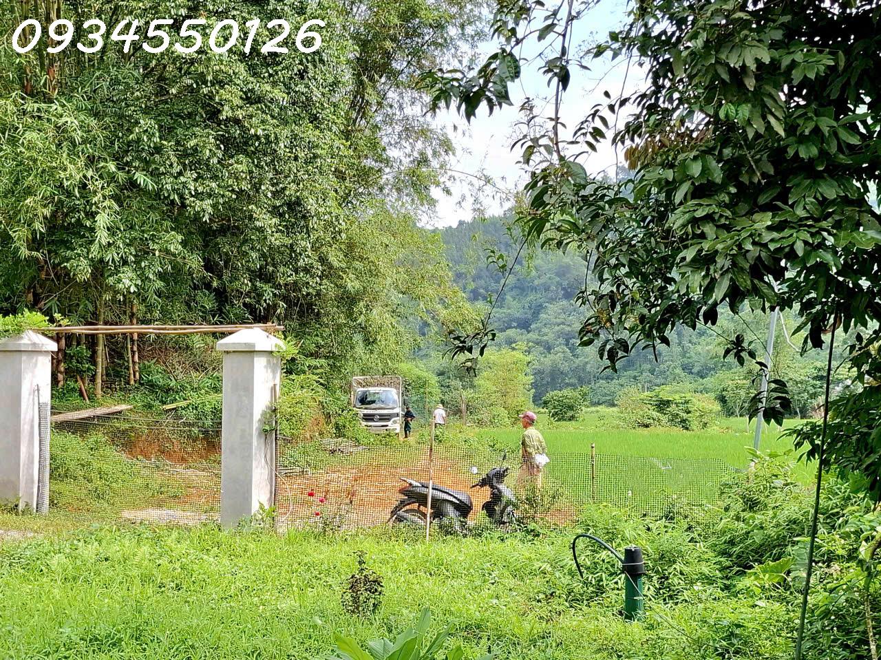 Chính chủ cần bán nhà vườn, trang trại xã Mường Bi, Phú Thọ, DT 953,8m2, giá 1,85 tỷ 16010259