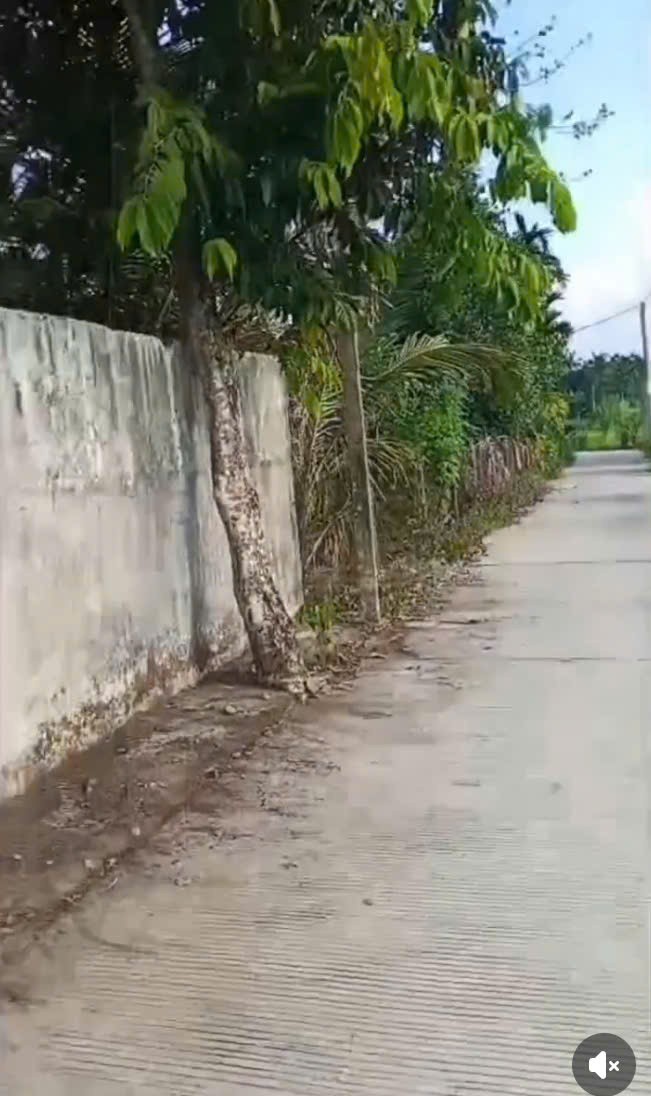 NHÀ ĐẸP –GIÁ TỐT –CHÍNH CHỦ CẦN BÁN NHÀ VÀ ĐẤT Phú Bình Tây, TT.Chợ Chùa, H.Nghĩa Hành, Quảng Ngãi 16010297