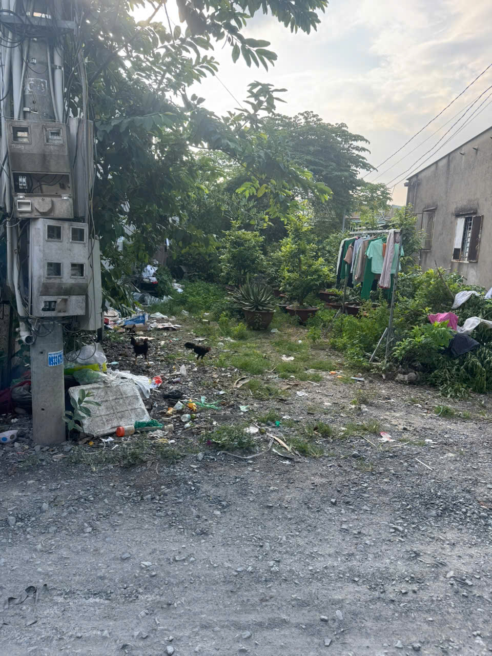 Bán Lô Đất An Sơn 21 – An Sơn, Thuận An – Quỹ Đất 282m² 16010315