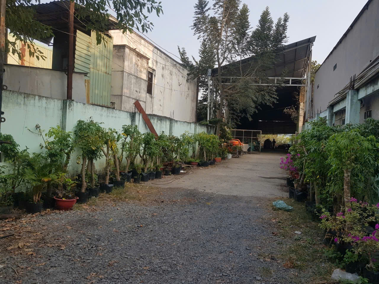 CẦN BÁN 176M2 ĐẤT VƯỜN DÂN CƯ HIỆN HỮU LÊN ĐƯỢC THỔ CƯ MT DƯƠNG ĐÌNH CÚC 16010460
