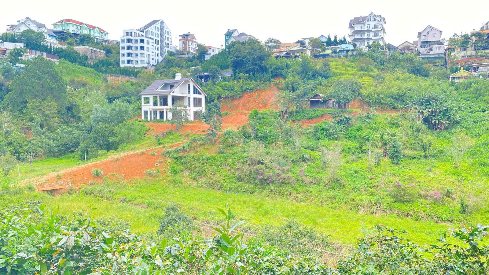E đang có 8.000m2 hẻm khe sanh, p10 - đà lạt, lâm đồng 16010520