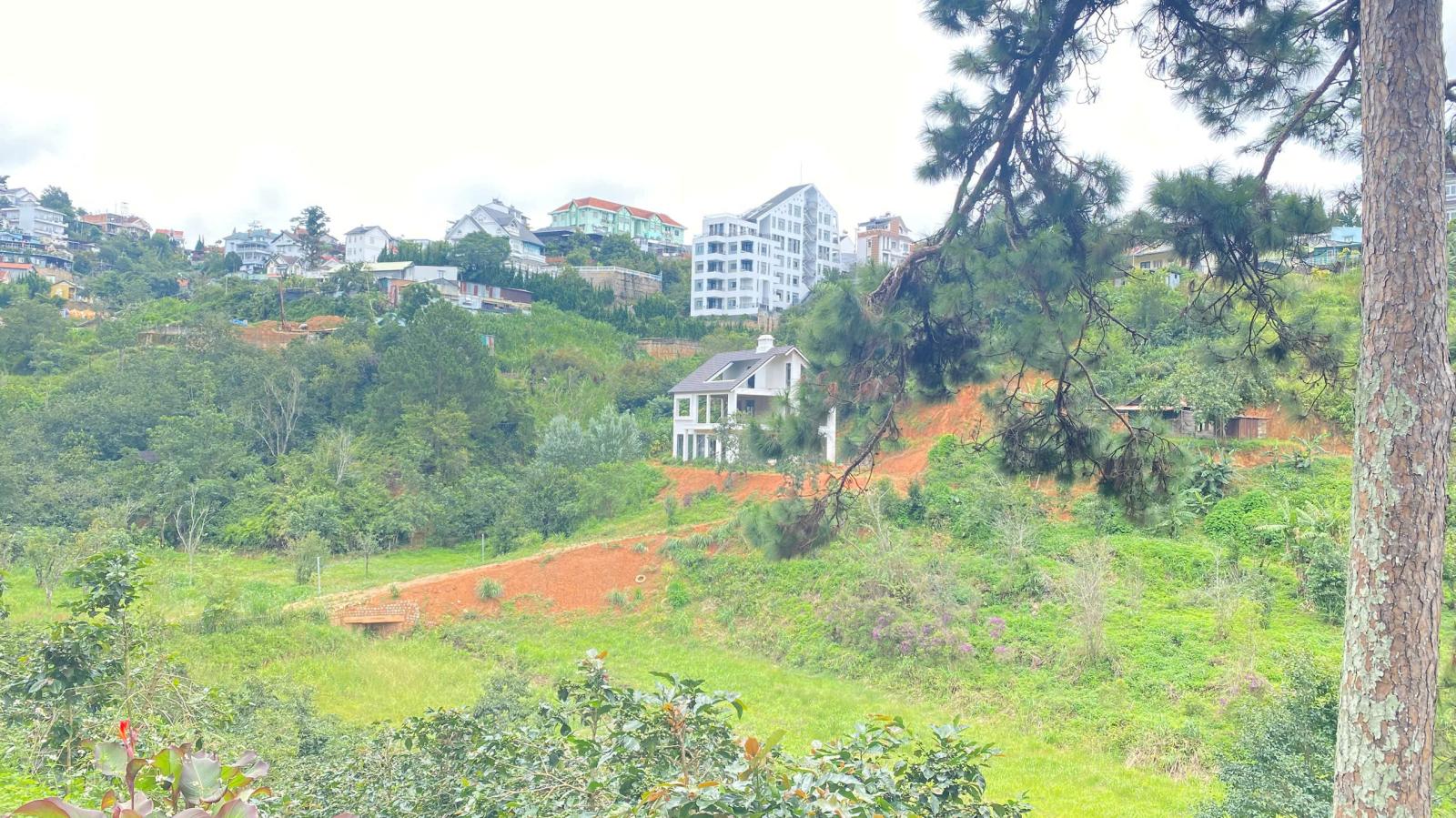 E đang có 8.000m2 hẻm khe sanh, p10 - đà lạt, lâm đồng 16010520