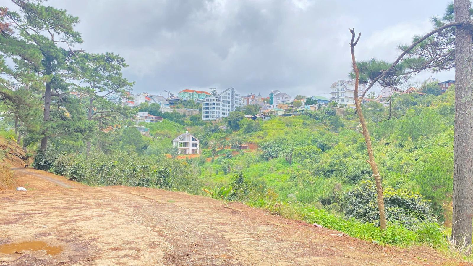 E đang có 8.000m2 hẻm khe sanh, p10 - đà lạt, lâm đồng 16010520