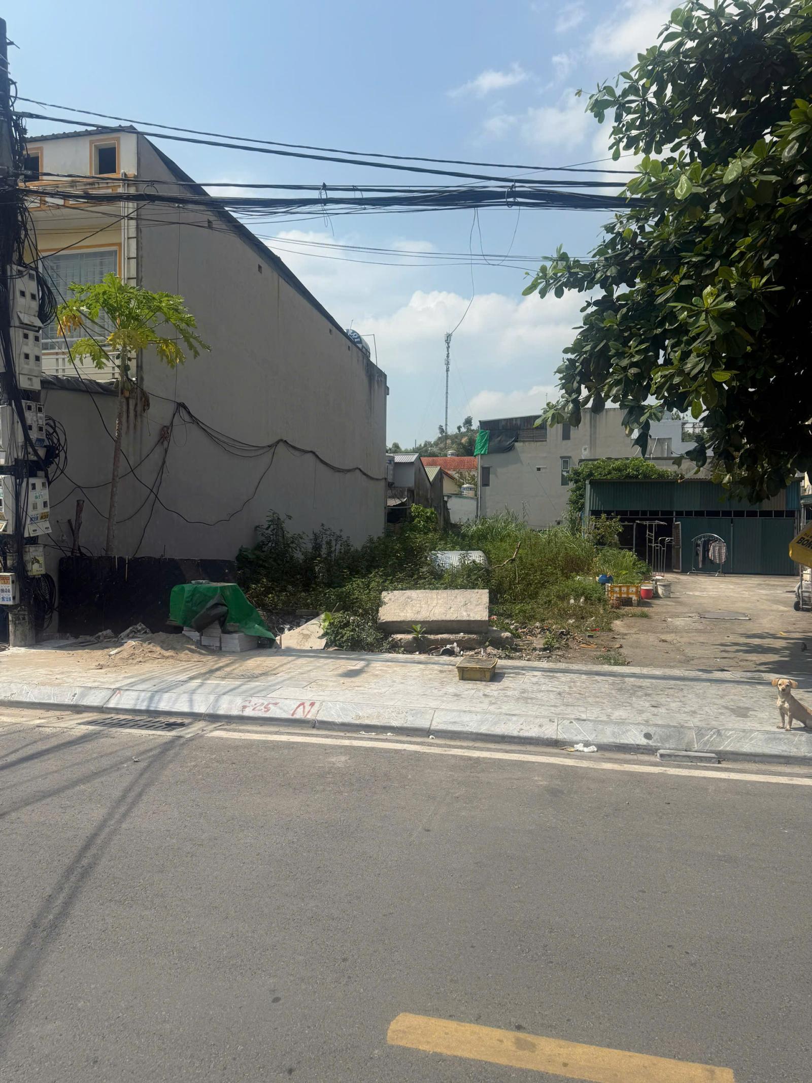 SỞ HỮU ĐẤT ĐẸP TẠI CAO THẮNG, HẠ LONG – ĐÓN ĐẦU TIỀM NĂNG KHU VỰC 16010544