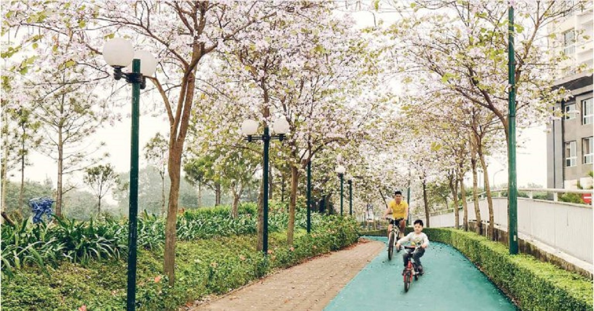 Bán căn hộ 2 ngủ 70m2 chung cư Ciputra, tòa mới nhất. Giá dưới 6,8 tỷ 16010601