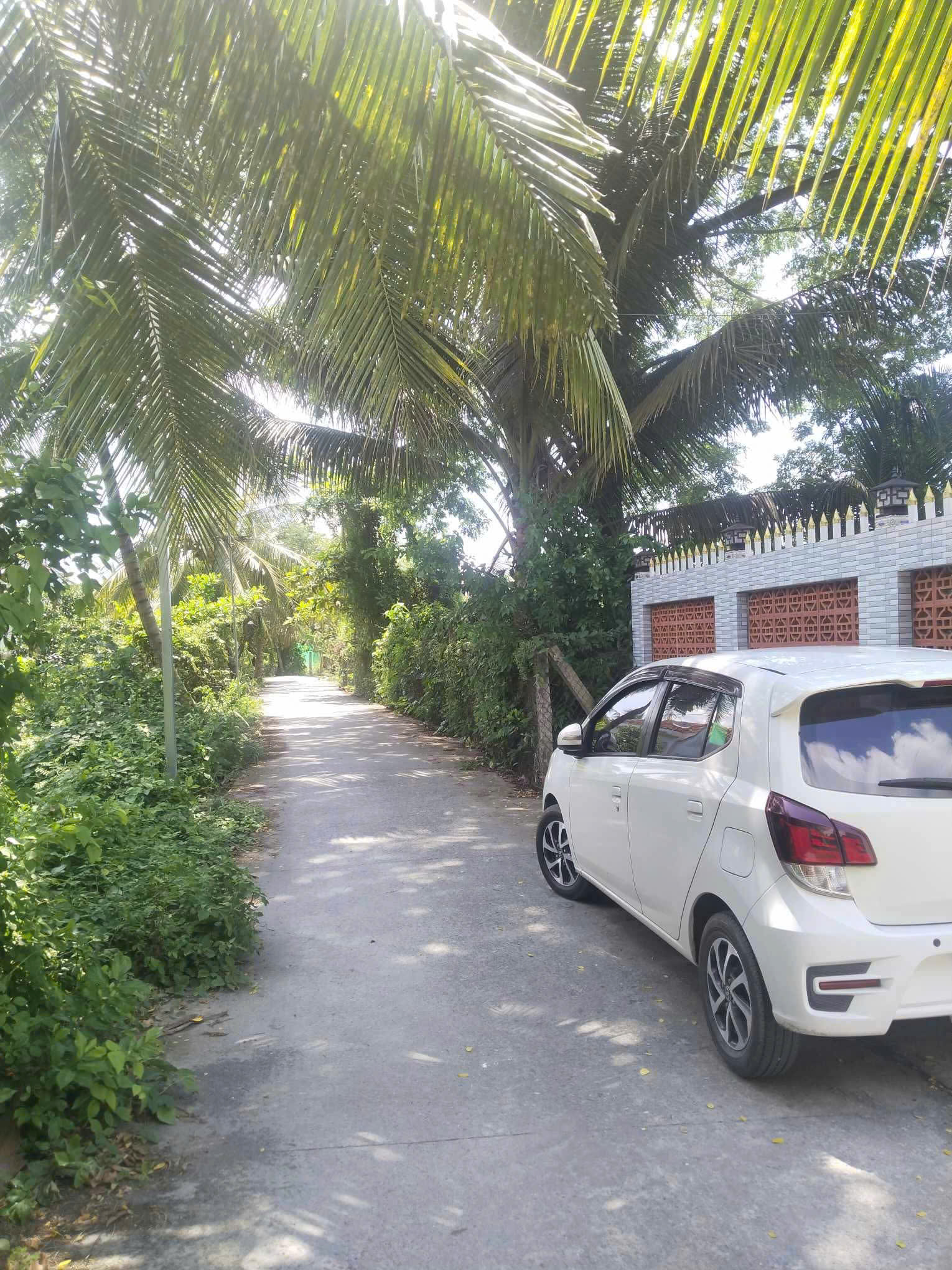 Bán nhà vườn, đất ở đô thị 363m2, full thổ cư - Hẻm 57 đường Lương Văn Chấn, Khánh Hậu, Long An(cũ) 16010604