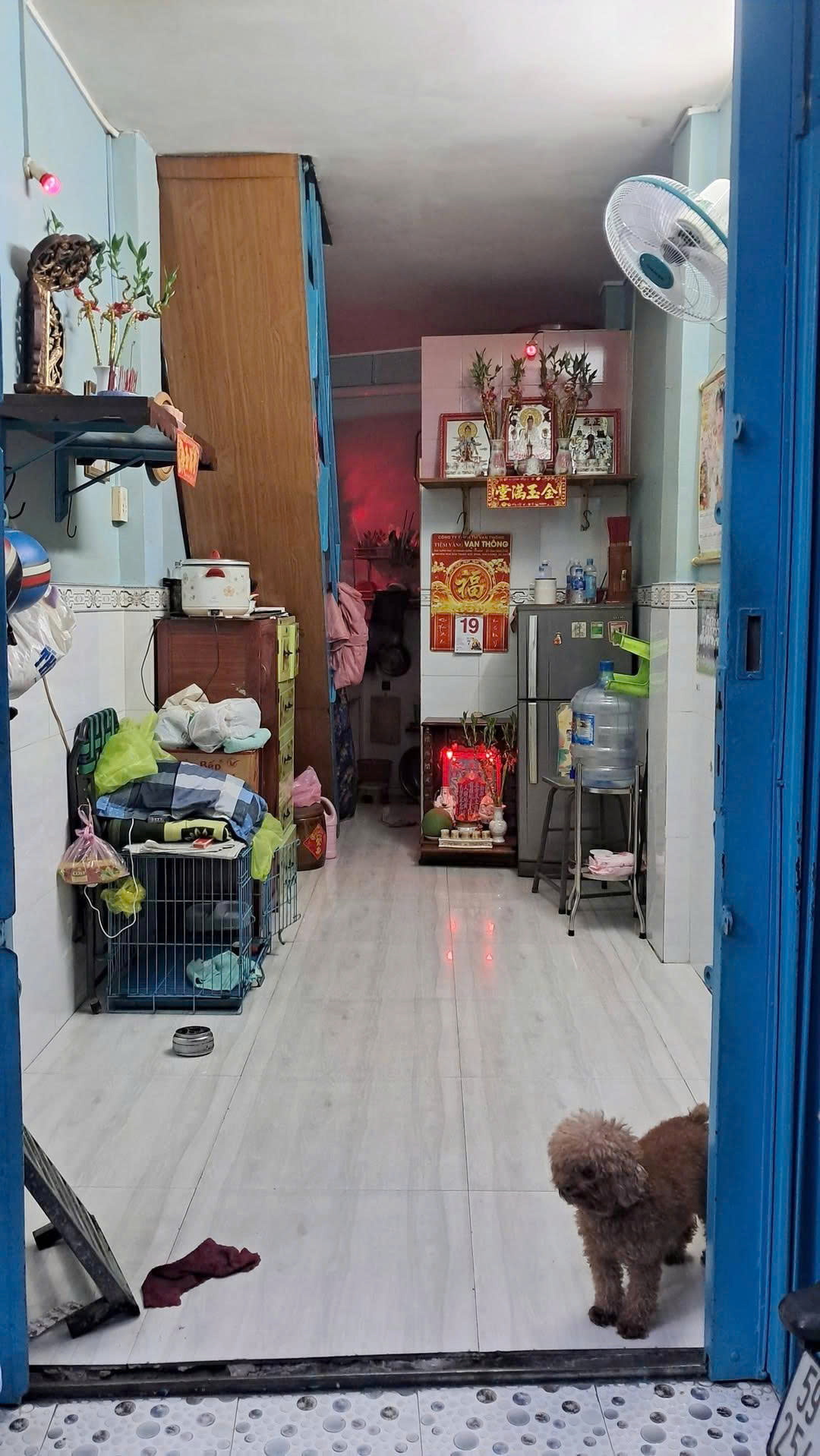 Nhà nhỏ giá rẻ Dã Tượng P10Q8 (P.Chánh Hưng) 16010700