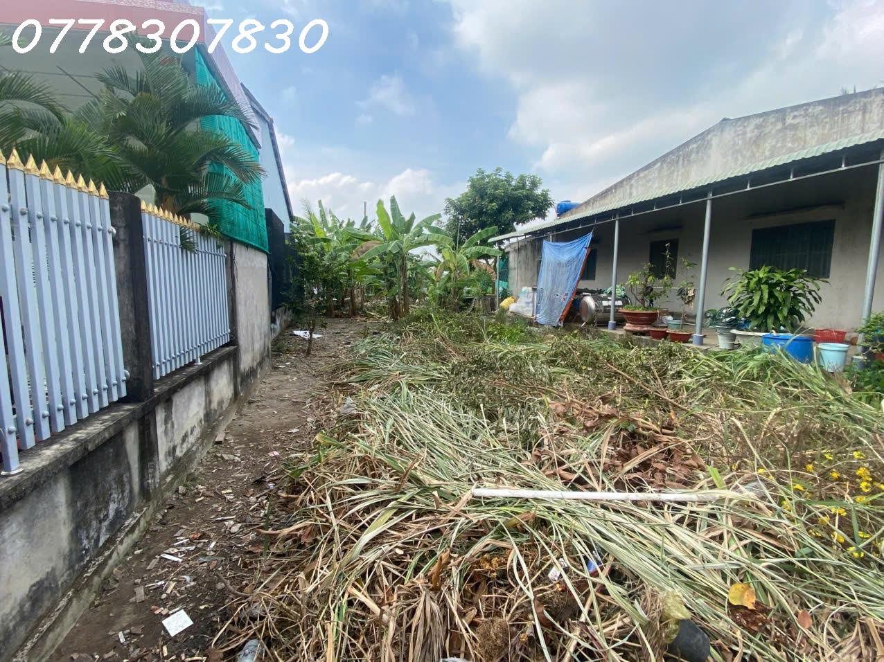Bán lô đất siêu đẹp tại xã Bình Tâm, Tân An, Long An, DT 325m2, giá đầu tư 16010725