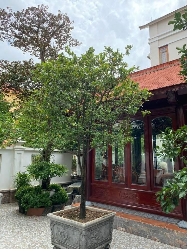 Bán căn biệt thự khu Trường An, ph Thanh Bình, TP HD, gần 400m2, mt 26m, bể cá Koi, sân vườn  16010823