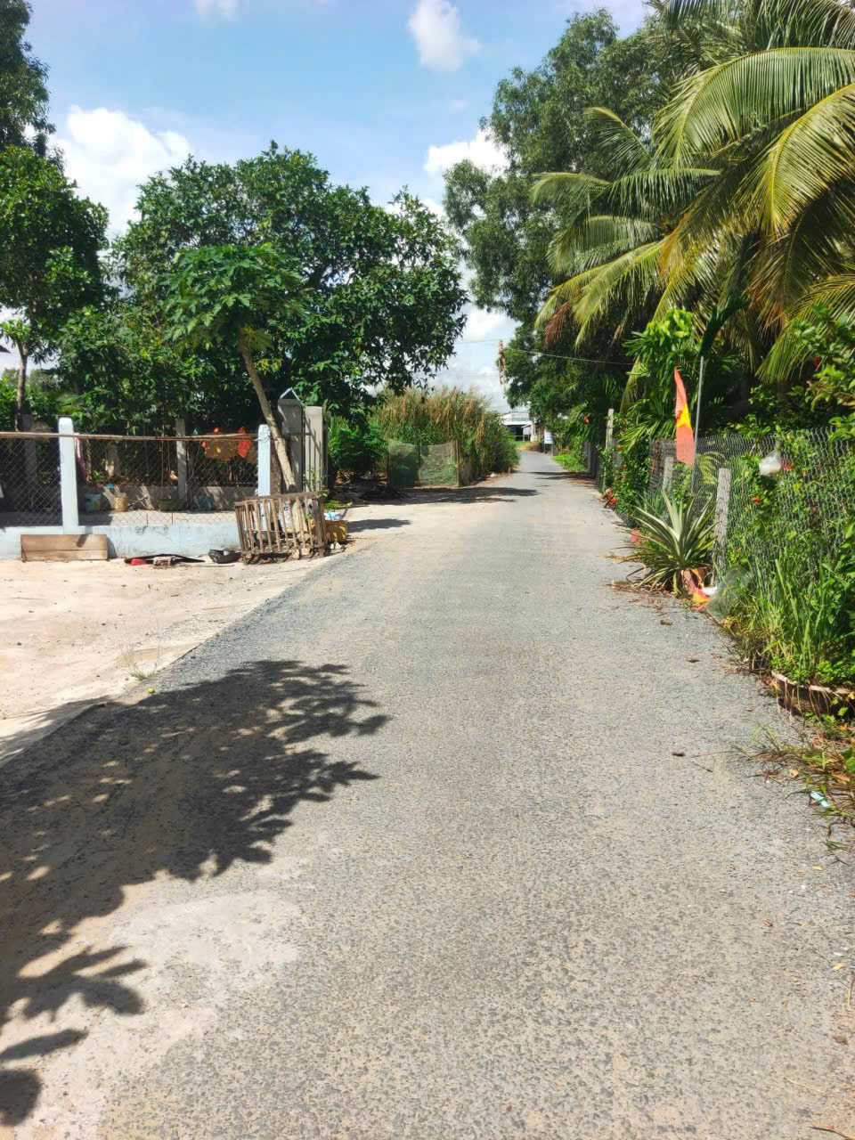 CẦN BÁN GẤP NHÀ  và ĐẤT – 2 CĂN NHÀ CẤP 4, SỔ HỒNG RIÊNG TẠI ĐẠI THÀNH , TP Ngã Bảy , Hậu Giang 16010922
