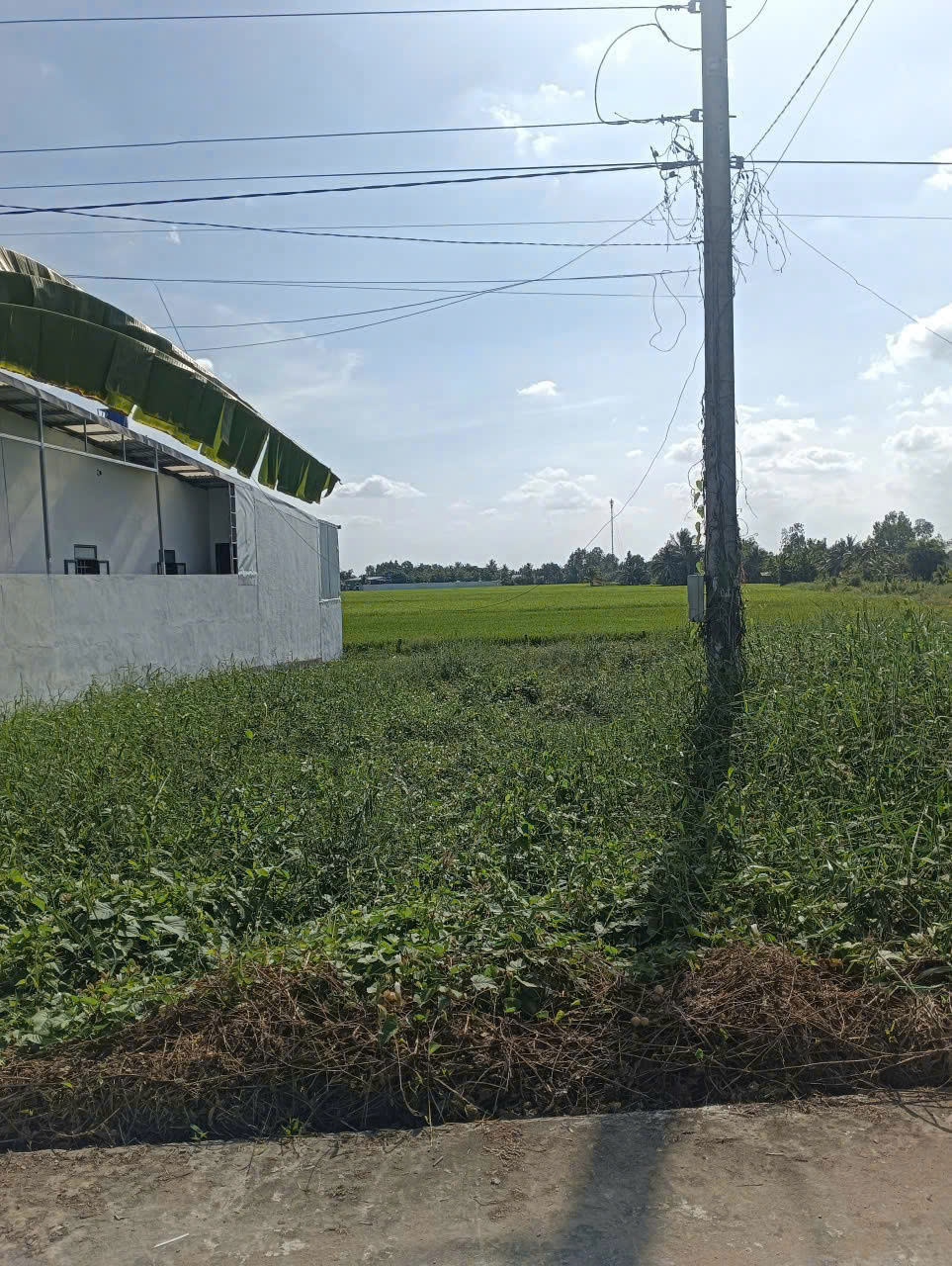 CHÍNH CHỦ CẦN BÁN ĐẤT CÓ VỊ TRÍ ĐẸP – MONG THỌ B, CHÂU THÀNH, KIÊN GIANG 16010963