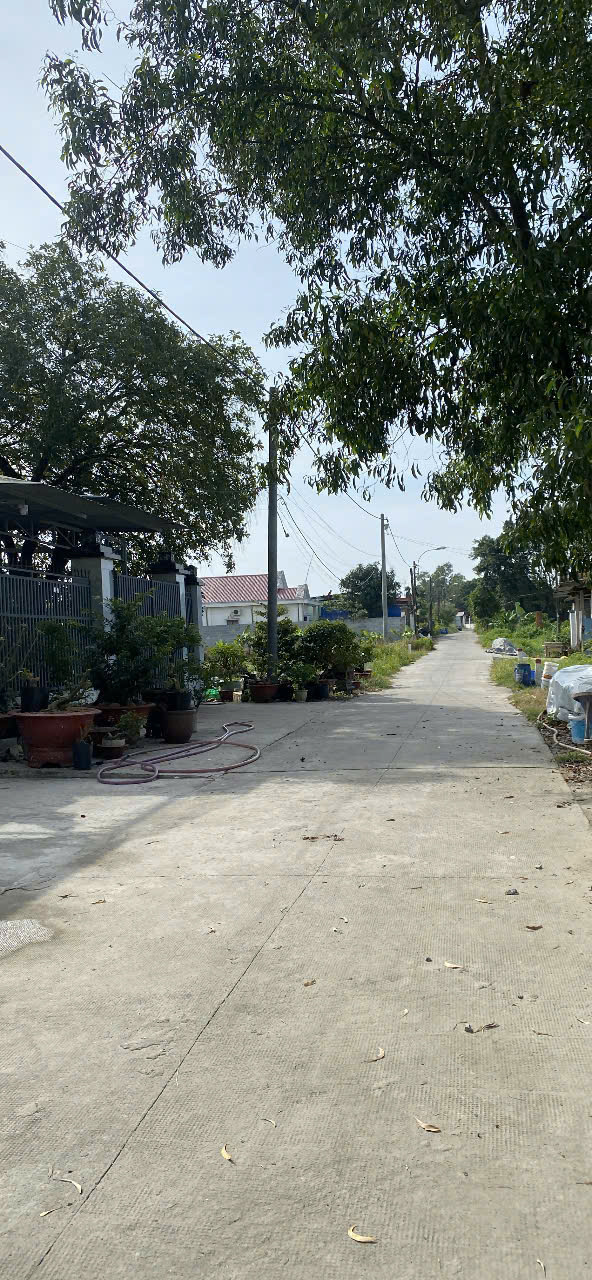 BÁN GẤP ĐẤT NỀN 271,5M² – NGUYỄN THỊ KÉO, CỦ CHI – GIÁ CHỈ 1,6 TỶ 16011043