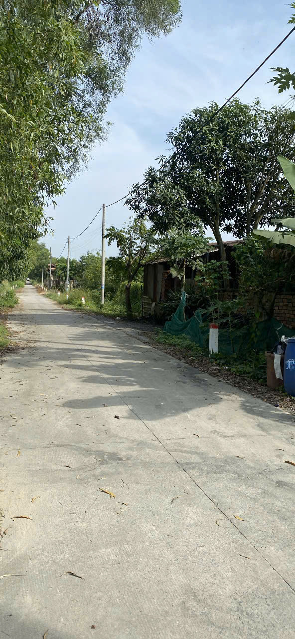 BÁN GẤP ĐẤT NỀN 271,5M² – NGUYỄN THỊ KÉO, CỦ CHI – GIÁ CHỈ 1,6 TỶ 16011043