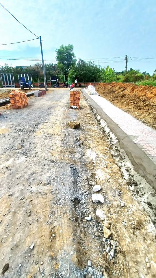 Bán lô đất 125m² tại Long Chiến, phường Tân Triều, Đồng Nai 16011046
