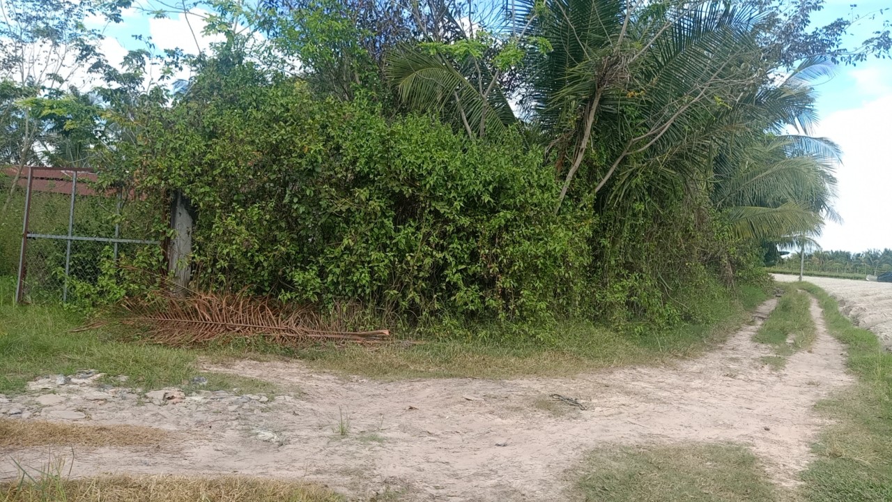 Bán gấp 9 công đất, Ấp Sa Nghe, An Cơ, Châu Thành, Tây Ninh, chỉ 1,9 tỷ.  16011267