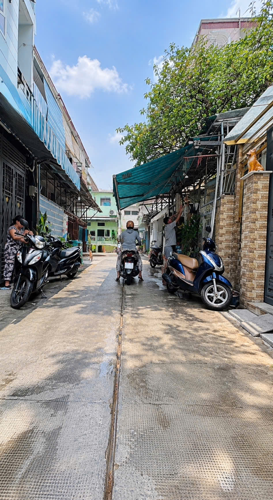 TỌA ĐỘ VÀNG TÂN BÌNH - NHÀ MỚI ĐẸP HXH PHẠM VĂN HAI - 3 TẦNG BTCT 16011455