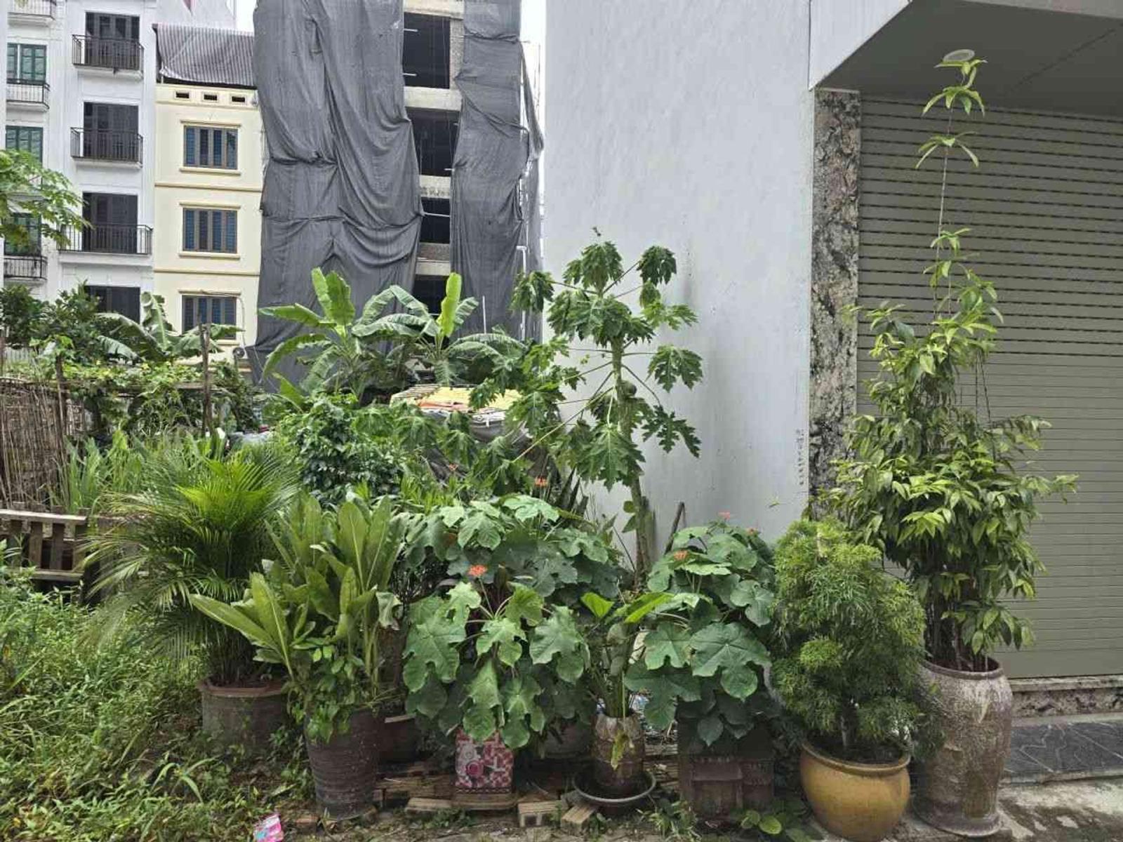 BÁN LÔ ĐẤT NGỌC THỤY – 30M² – ĐƯỜNG 7M – HAI THOÁNG – 9,6 TỶ 16011584